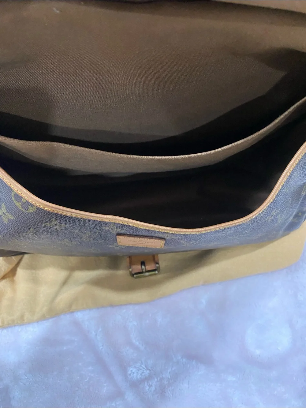 Louis Vuitton authentic louis